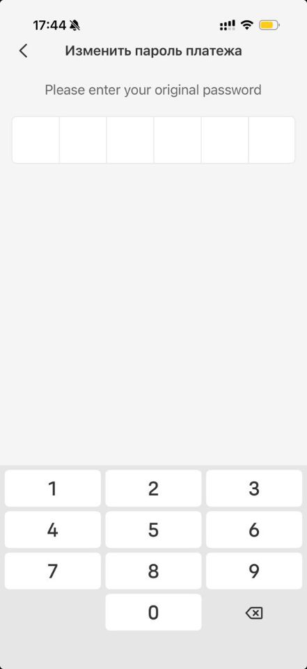 Платежный пароль UnionPay